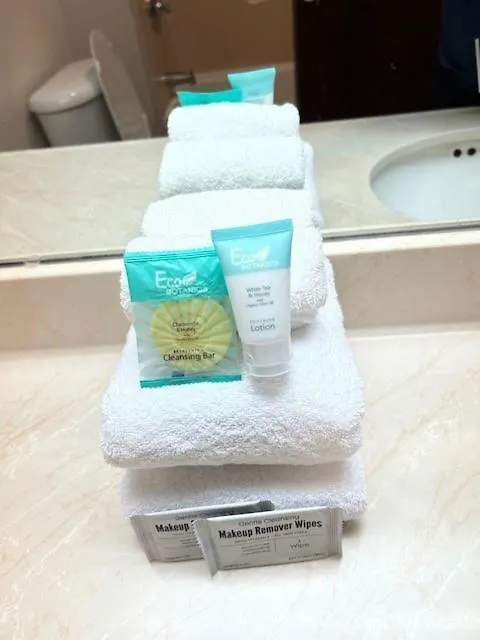 Hotel Orlando Palms