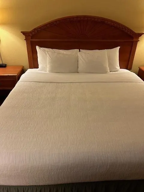 ****  ホテル Orlando Palms 米国